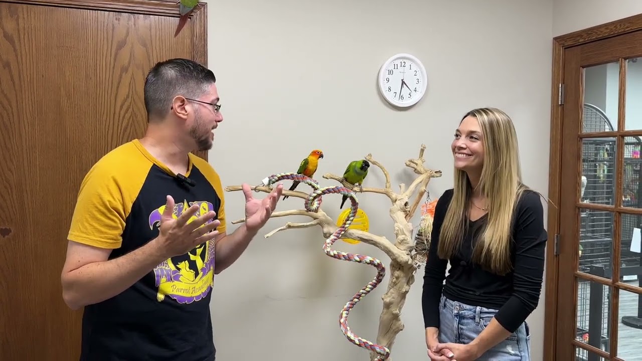 Parrot Wing Clipping vs Flight Discussion