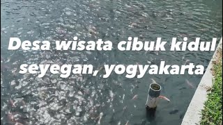 Download lagu DESA WISATA CIBUK KIDUL !! COCOK UNTUK LIBURAN KELUARGA.. (SEYEGAN, YOGYAKARTA)