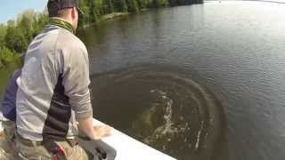 Rick 50in Musky Eagle Lake