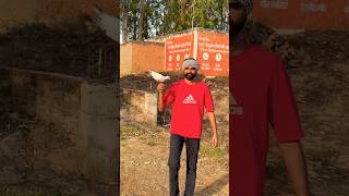 Sf2 Kabuer _🕊️✌️_#viral#kabootar #kabutar video #song #my #like #comment #subscribe 😍😍#pigeon 🕊️