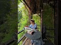 🌿Viral Treehouse in East Village. Is it worth the hype…? 📍6BC Botanical Garden · · ·#nyclife #...