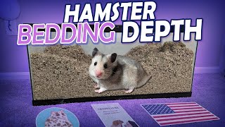 How much Bedding do Hamsters Need? | Minimum vs. Recommended | Munchie's Place