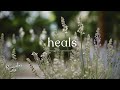 Time Heals Everything Relaxing Piano Music To Soothe Restore Find Peace 