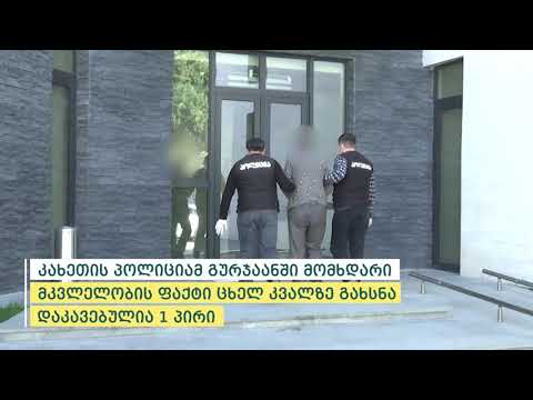 კახეთის პოლიციამ გურჯაანში მომხდარი მკვლელობის ფაქტი ცხელ კვალზე გახსნა - დაკავებულია 1 პირი