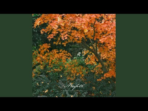 Nylon & Cedar - Maple