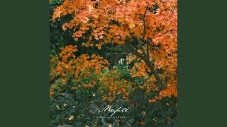 Maple - Nylon & Cedar
