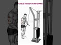 Triceps Workout: Master Pushdowns 🚀​​ 👌#shorts #biggerarms