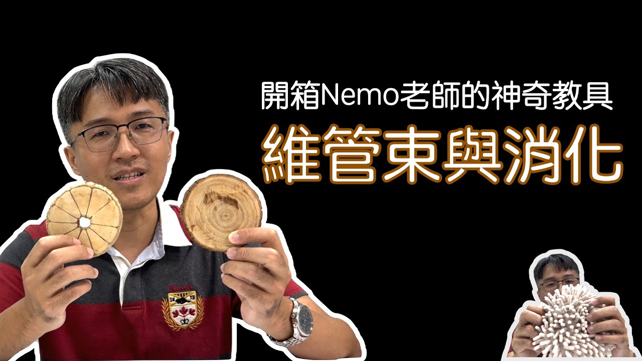 開箱nemo老師的神奇教具—維管束與消化篇 縮圖