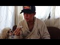 山口敏太郎の食いしん坊   柿安のいちご大福 の動画、YouTube動画。