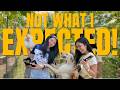 What an Animal Shelter in the Philippines Actually Looks Like — BACH Project Bacolod PH