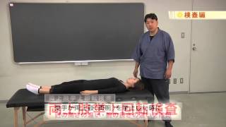 機能脳科学療法DVD