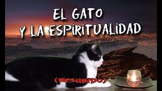 El gato y la Espiritualidad. (audio mejorado)