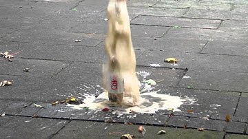 Diet Coke and Mentos Slow Motion Science @ Normal Speed