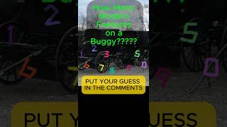 Are Amish Buggies Modernized??? #amish #ohioamishcountry #holmescounty #AmishBuggy