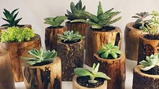 fantástico para suas plantas