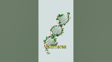 The Longevity Paradox: Can Science REALLY Reverse Aging? #health #aging #science