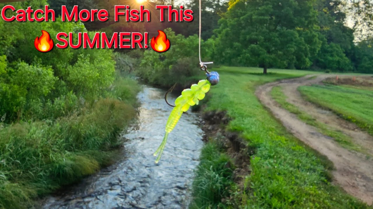 Tips & Tricks to Catch More Trout this Summer (creeks, rivers & more)