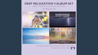 Calming Songbirds
