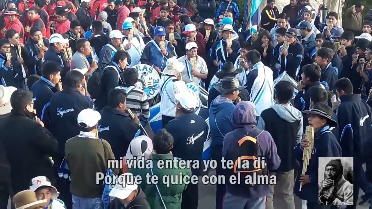 sikuri -si eres Aymara de corazon