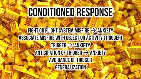 Animo Session Video: SYSTEMATIC DESENSITIZATION