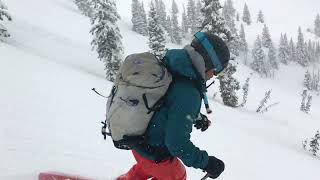 ITCOG Skiing Powder in the Wasach on a spring storm day