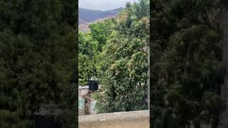 Ignacio Mejía, Oaxaca 😍