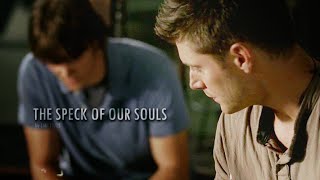 Supernatural | The Speck Of Our Souls
