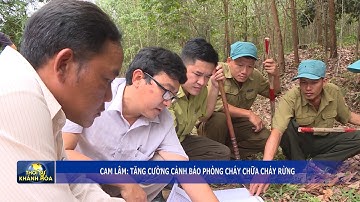 Thời sự trưa 21/5 | Cam Lâm: tăng cường cảnh báo phòng cháy, chữa cháy rừng