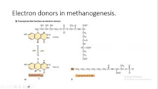 Methanogenesis
