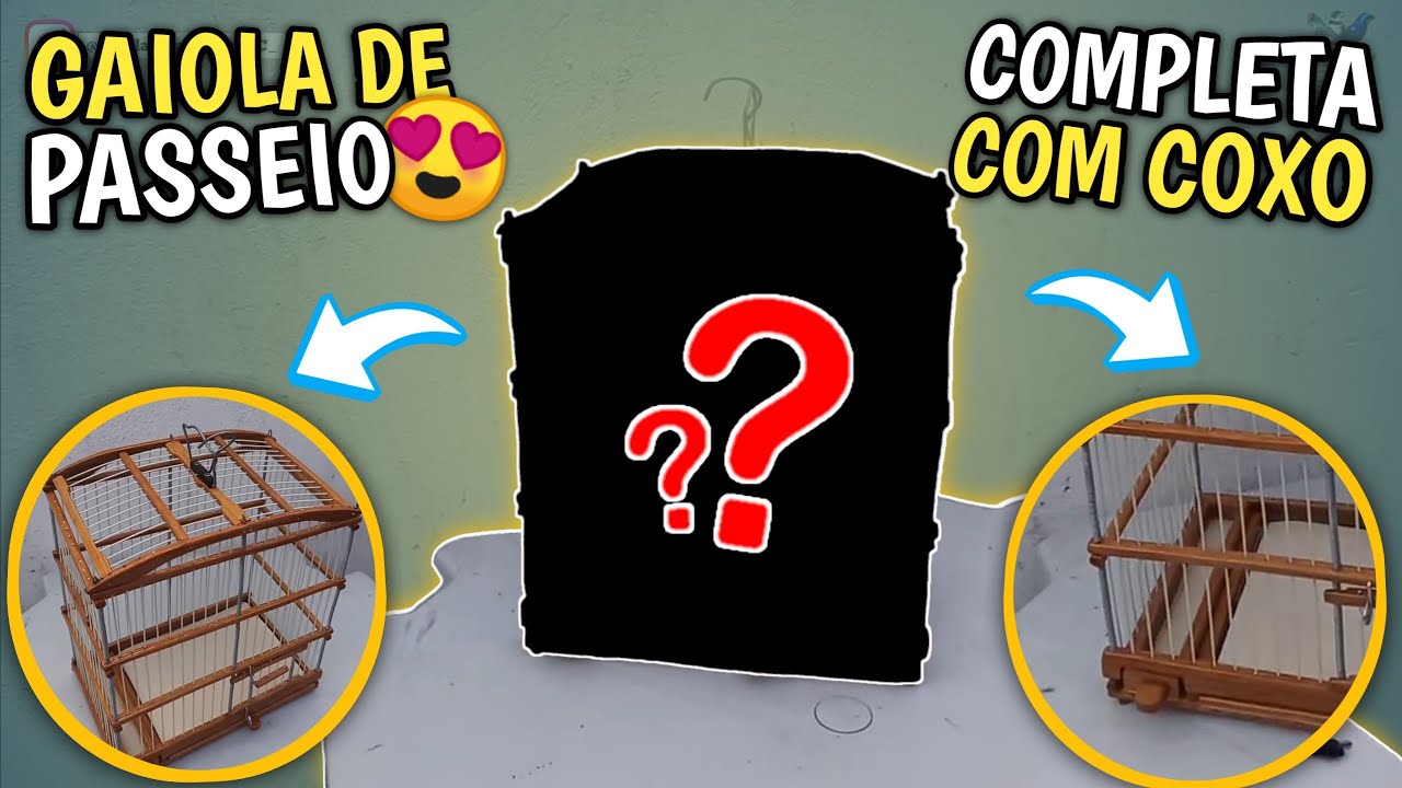 Como fazer uma GAIOLA DE CARNAÚBA 100% artesanal | PASSO A PASSO COMPLETO!!!