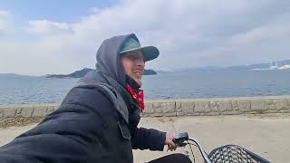 Wunderschön Ōkunoshima Haseninsel 3 Runde Insel 🤗🐰🐇