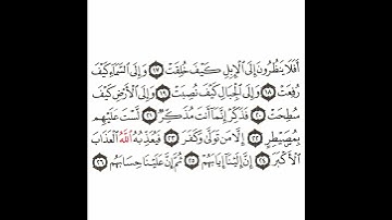سورة الغاشية 3 القسم الثالث تكرار كيفي من .. أفلا ينظرون إلى الإبل .. إلى .. ثم إن علينا حسابهم