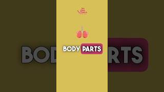 Parts of the body in Moroccan Arabic Darija | Full video on our channel #darija #moroccanarabic