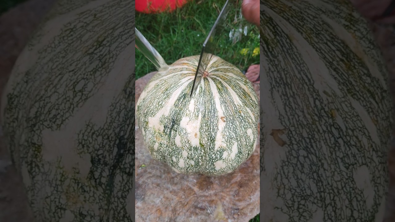 Delicious Sweet Pumpkin  cutting skill 
