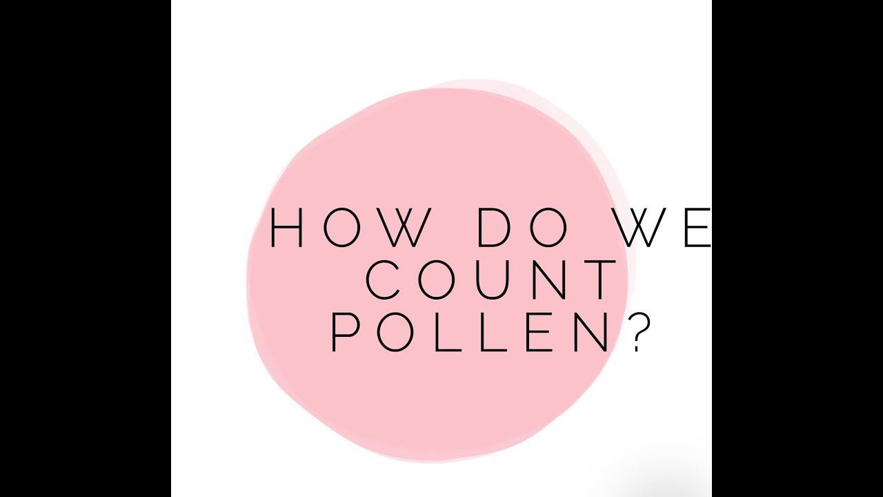 how-do-we-count-pollen-youtube