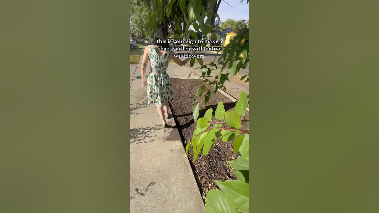 Making a #chaosgarden with native wildflowers! π #gardening #wildflowers #nativeplants #earthday Making a #chaosgarden with native wildflowers! π #gardening #wildflowers #nativeplants #earthday