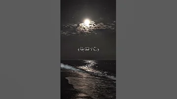 آية قرآنية قصيرة بصوت الشيخ ياسر الدوسري حالات وتس اب 