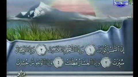 فارس عباد سورة التكوير 81