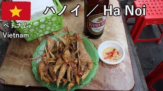ベトナム旅2019その28　散歩します、ハノイ旧市街の裏路地とか市場とか【無職旅／旅行記】