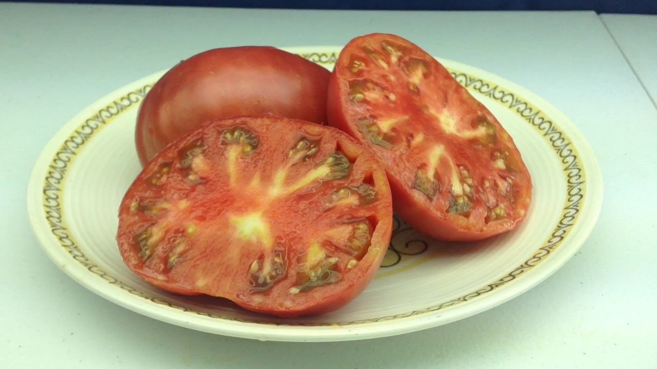 Anna's Kentucky Tomato Kentucky Heirloom Tomato With Superb Flavor