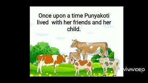 Story of punyakoti the cow in English