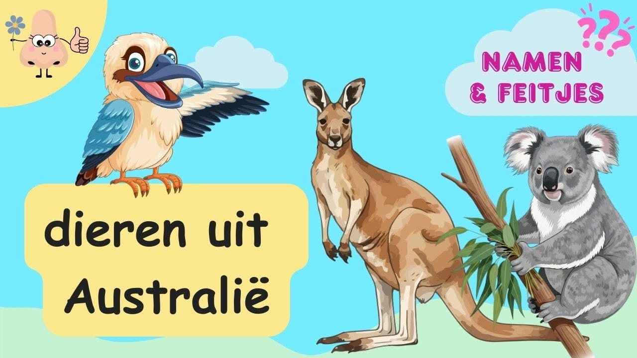 Dieren uit Australië Leren – Woordenschat voor Peuters & Kleuters
