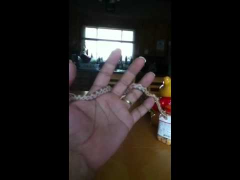 camera iphone 8 plus apk Butter corn snake jr2