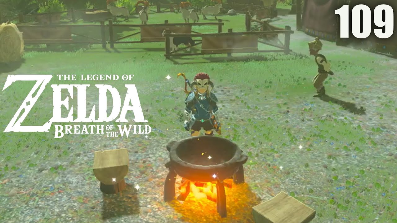 Preparing for the Fights - Breath of the Wild (109)
