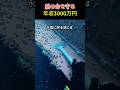 船の命を守る 年収3000万円
