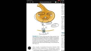 Katzung and Trevor Chapter 21: Introduction to CNS Pharmacology