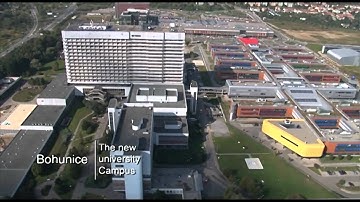 Masaryk University - Image Video