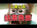 【ウソ雑学公募】結果発表!(大変お待たせ致しました…)