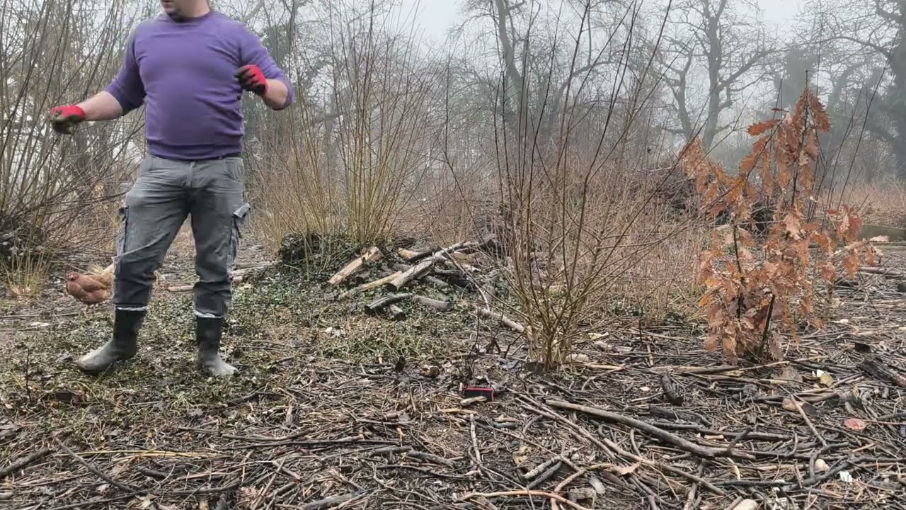 Curătare de primavară în gradină partea 5