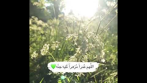 قرآن كريم ستوريات قرآنيه •حالات واتس اب دينيه قرآن • ستوريات دينيه قرآن الكريم • عبدالرحمن مسعد
